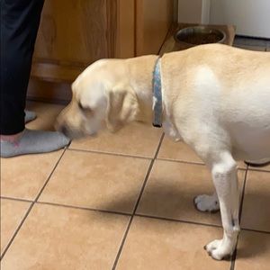 Meet your Posher, Douglas